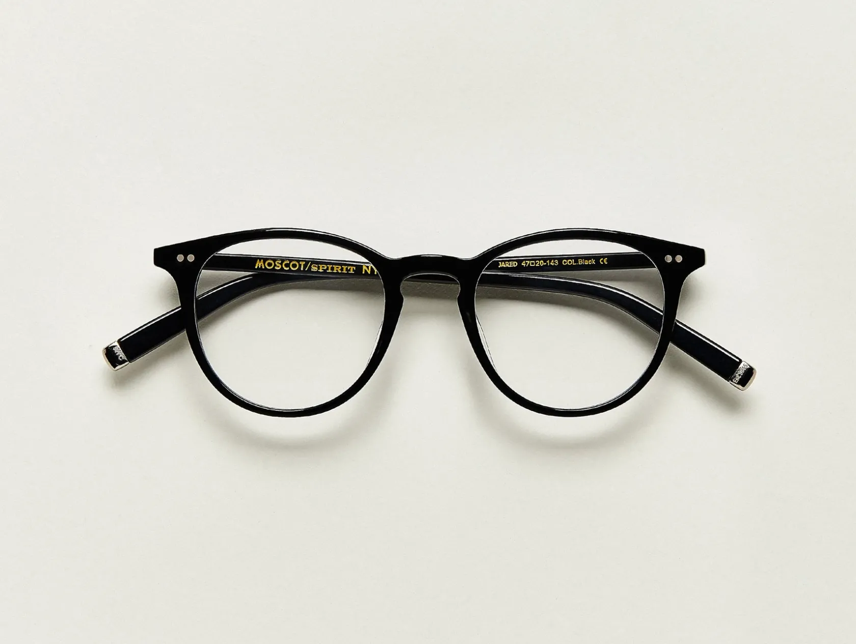 Moscot JARED
