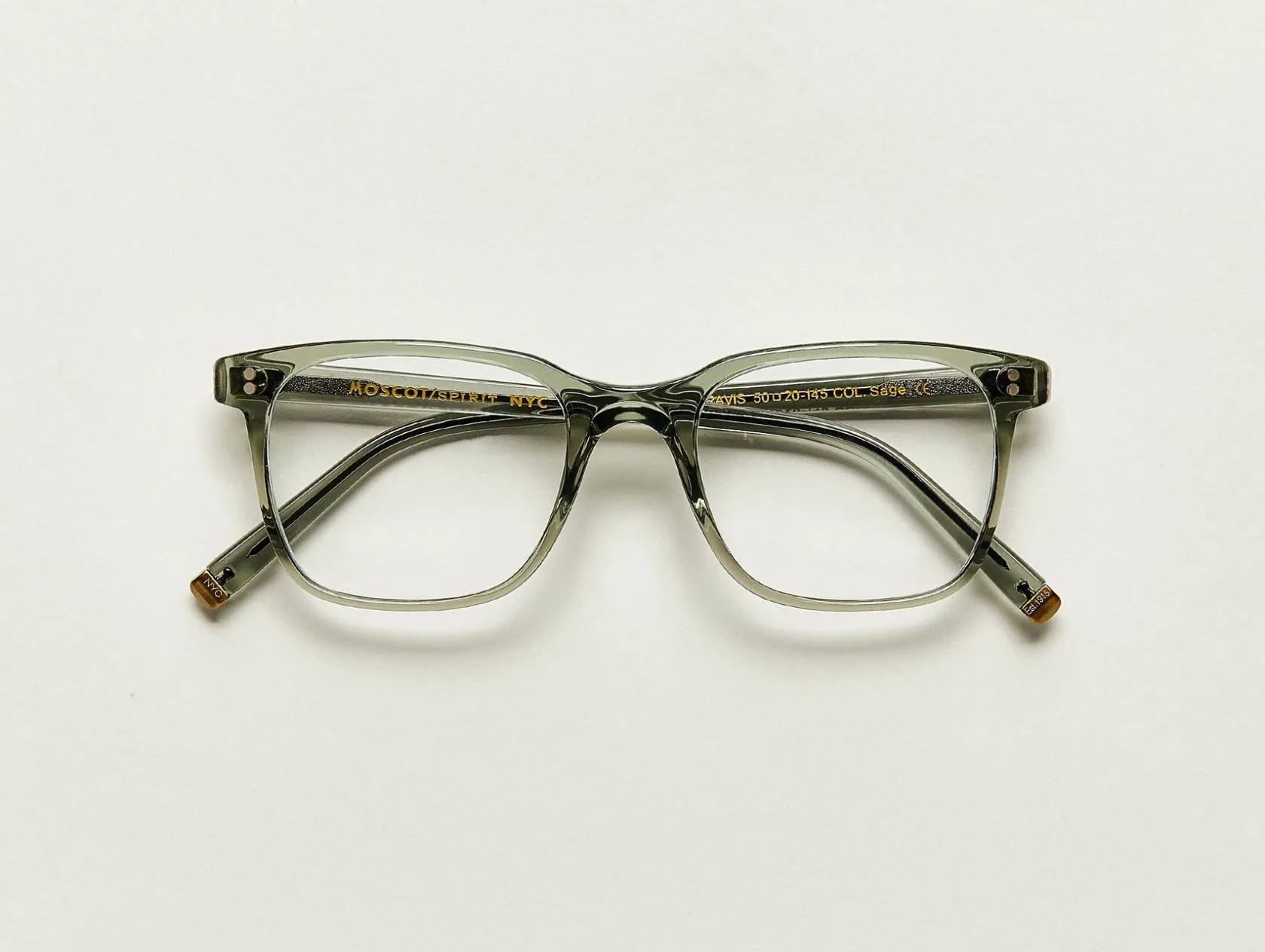 Moscot TRAVIS